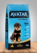 Foto 01: AVATAR  FILHOTES